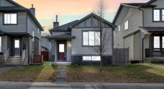 231 Saddlebrook Way NE